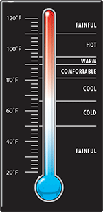 Team Thermometer