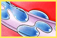 Fabric softeners coast fibers and attract moisture