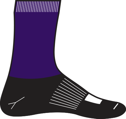 Lacrosse - Team Purple